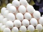 افزایش مصرف و صادرات؛ دلایل افزایش قیمت مجدد تخم مرغ