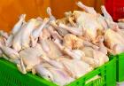 مناسب شدن شرایط قیمتی مرغ ظرف ۱۰ روز آینده